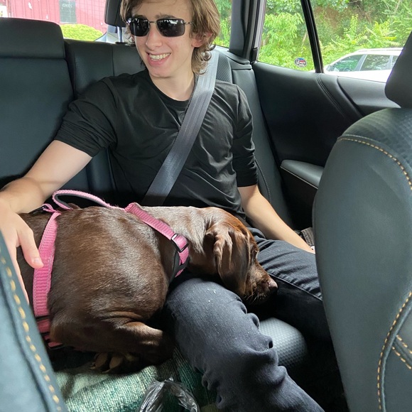 Our Bailey & meet Sadie —part 2 - Picture 4 of 16